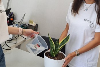 Toyota Bakı Mərkəzi “Sıfırın ötəsində” (Let’s Go Beyond) kampaniyası çərçivəsində ofislərdə otaq bitkilərinin yerləşdirilməsi həyata keçirib